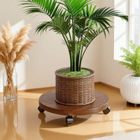 Heavy-Duty Round Plant Caddy with Wheels and Drain Tray, Thickened Plastic Mobile Plant Pot Stand
