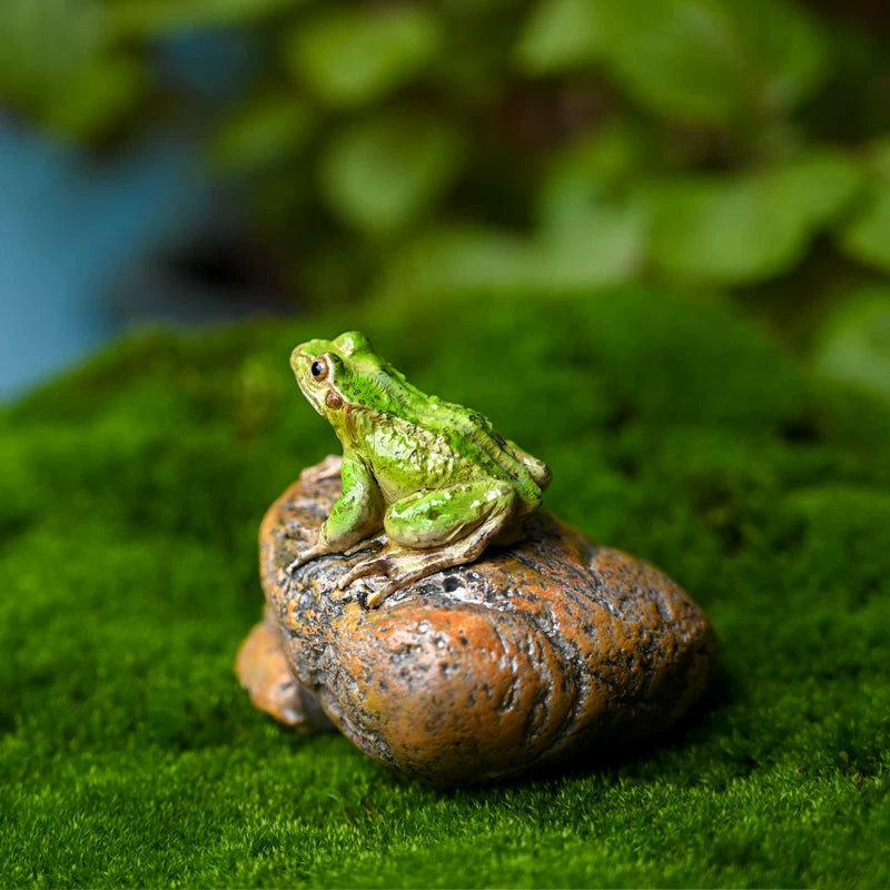 Miniature Frog Figurines for Garden & Micro Landscape Decor