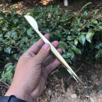 Stainless Steel Bonsai Tool Set for Pruning, Raking, and Soil Shaping