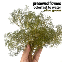 Preserved Dried Flower Miniature Tree Model for DIY Crafts and Dioramas