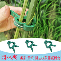 Garden Plant Clips for Support and Training, Tomato Vine Clips, Reusable Plastic Plant Grips