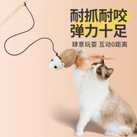 Interactive Cat Wand Toy with Mouse and Bell for Indoor Cats