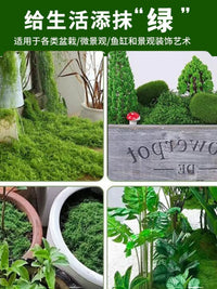 Artificial Silk Moss Micro Landscape Decoration, Fake Moss Lawn Plush Ornaments, Soft Decor Material