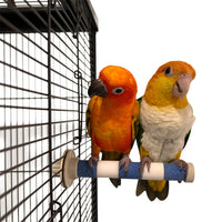 Parrot Sand Perch for Claw and Beak Grinding - Bird Stand Toy for Cockatiels, Conures, and Parakeets