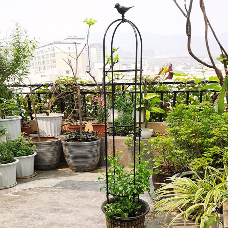 Metal Garden Trellis for Climbing Plants, Rose, Clematis, and Vine Support