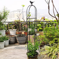 Metal Garden Trellis for Climbing Plants, Rose, Clematis, and Vine Support