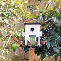 Wooden Outdoor Bird Feeder for Garden & Villa Decor, Rainproof Hanging Bird Feeding Station