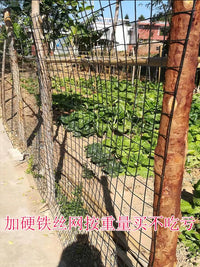Heavy-Duty Plastic Garden Fence Mesh for Poultry and Vegetable Patch Enclosures