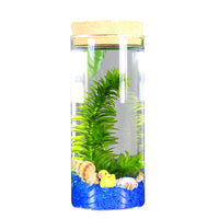 Self-Sustaining Ecosystem Betta Fish Tank Micro Landscape DIY Ornament