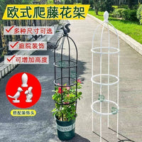 Climbing Plant Trellis for Clematis Roses Indoor Potted Plants