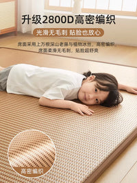 Ice Silk Rattan Sleeping Mat Tatami Floor Mattress for Summer
