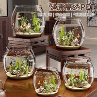 Clear Plastic Fish Tank Aquarium for Micro-Landscape and Turtle Habitat, Shatterproof Office Decor
