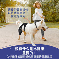 Pet Dog Rear Leg Brace Knee Support for Injury Recovery and Joint Protection