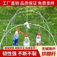 Fiberglass Greenhouse Hoops for Garden Netting and Plant Support