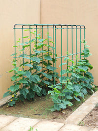 Garden Trellis Kit for Climbing Plants, Vegetables, Fruits - Coated Steel Pipe Support Frame