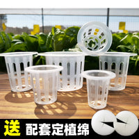 Hydroponic Net Pots for Soilless Cultivation and Vegetable Planting