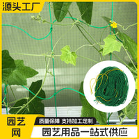 Garden Trellis Netting for Climbing Plants, Fruits, and Vegetables - Green