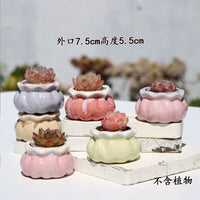 Breathable Ceramic Succulent Planter Pot Set with Drainage for Indoor Outdoor Plants