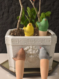 Ceramic Bird Self-Watering Spikes for Potted Plants