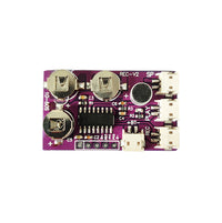 Voice Recognition Recording Module for Electronic Toys and Greeting Cards
