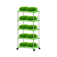 Hydroponic Seed Sprouting System with Multi-Tier Rack for Home Garden