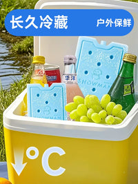 Reusable Ice Packs for Coolers, Portable Air Conditioners, and Pet Cooling - Various Sizes
