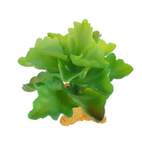 Artificial Succulent Reptile Terrarium Decor Plant