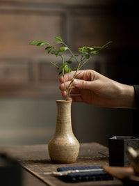 Wabi-Sabi Ceramic Hydroponic Vase for Dried Flowers and Home Decor