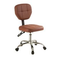 Adjustable Swivel Stool with Nylon Base for Salon, Spa, Dental Office, or Beauty Professionals