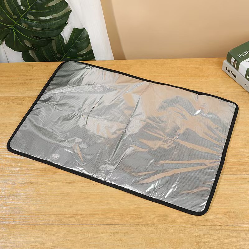 Aluminum Film Moisture-proof Mat for Outdoor Picnic, Camping, and Dormitory Use