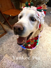 Christmas Pet Scarf with LED Lights & Headband Set, Santa Dog Costume for Holiday Photos