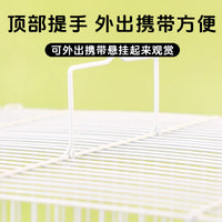 Guangzhiya Metal Bird Cage for Parakeets, Cockatiels, Mynah Birds, Finches, Peony Birds - Breeding and Aviary Cage