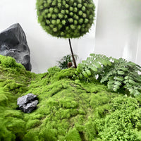 Artificial Moss Mat for Micro Landscape and Terrarium Decor