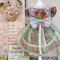 Handmade Pet Princess Dress with Floral Design for Cats and Dogs, Red and Green