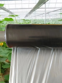 Black and Silver Agricultural Mulch Film for Weed Control, Insulation, and Moisture Retention