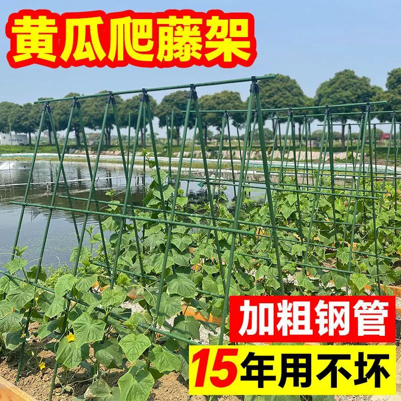 Garden Trellis for Climbing Plants, Beans, Cucumbers, Tomatoes - Vegetable Support Frame for Farming and Home Gardening