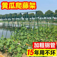 Garden Trellis for Climbing Plants, Beans, Cucumbers, Tomatoes - Vegetable Support Frame for Farming and Home Gardening