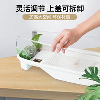 Turtle Tank with Filter and Landscaping for Home Use
