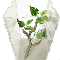 Reptile Terrarium Flexible Climbing Vines for Lizards Chameleons Frogs