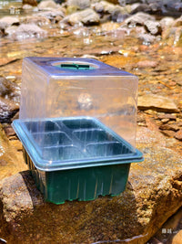 12-Cell Seedling Starter Tray with Dome Lid for Succulents and Cuttings