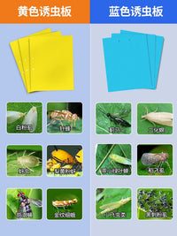 Sticky Insect Traps for Flying Pests - Yellow Double-Sided Glue Boards for Greenhouse & Orchard