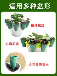 Strawberry Propagation Cups with Ground Stakes for Seedling Transplanting and Rooting