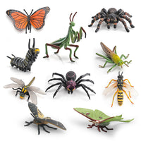 Realistic Tropical Rainforest Insect Animal Model Figurines