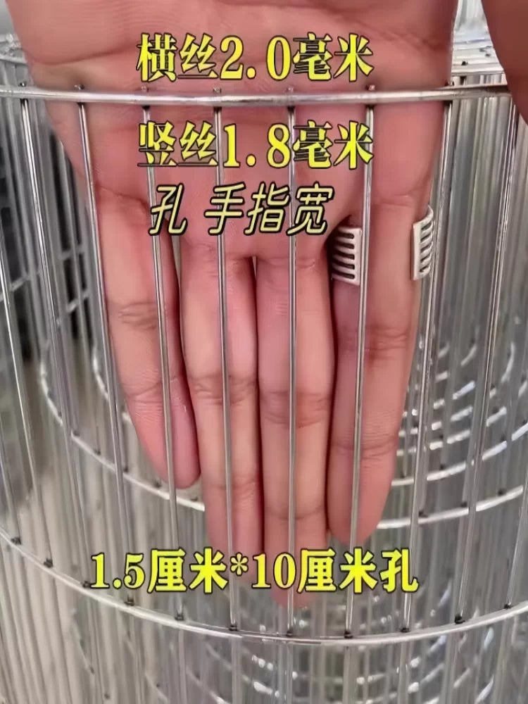 Galvanized Iron Wire Mesh Fence Panel for DIY Bird Rabbit Chicken Pigeon Cages Stainless Steel Grid Protection