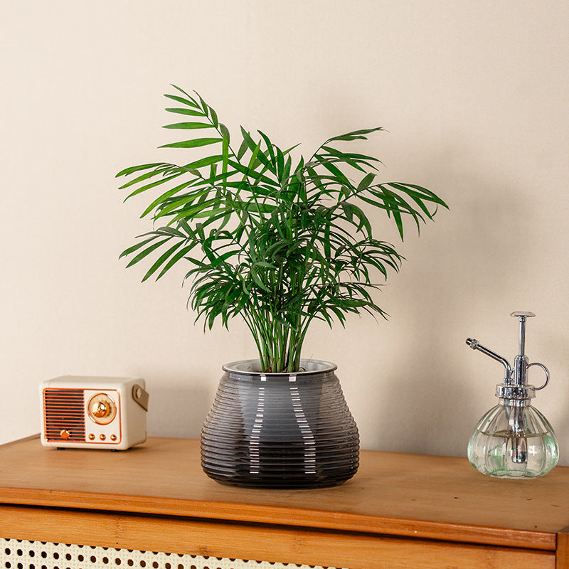 Self-Watering Planter Pot for Indoor Plants, Resin Plastic Breathable Hydroponic Flower Pot