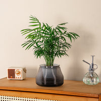 Self-Watering Planter Pot for Indoor Plants, Resin Plastic Breathable Hydroponic Flower Pot