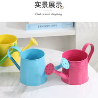Decorative Iron Art Watering Can for Floral Arrangements and Spring Decor