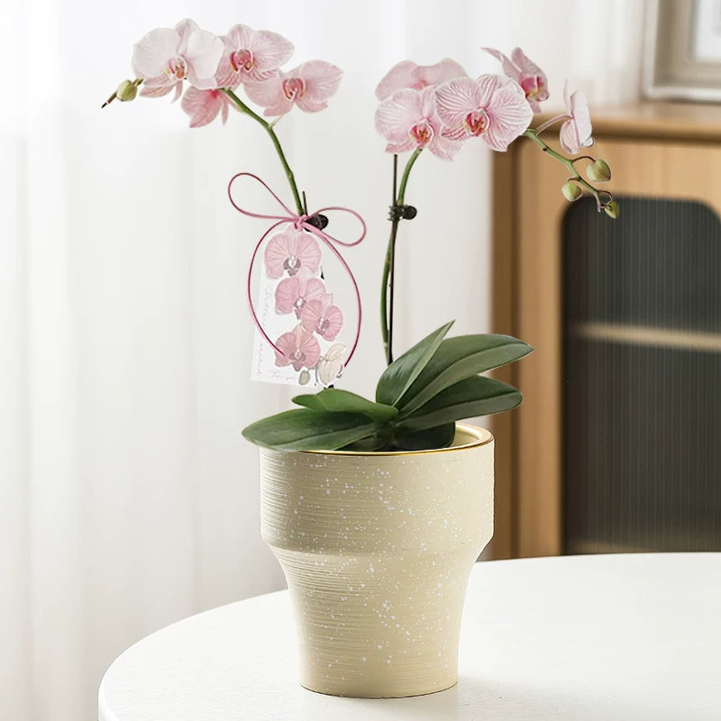 Nordic Ceramic Orchid Planter Pot with Stand for Indoor Plants
