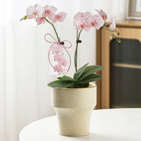 Nordic Ceramic Orchid Planter Pot with Stand for Indoor Plants