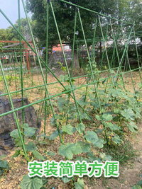 Garden Plant Support Stakes for Climbing Vines, Vegetables, and Flowers - Outdoor Trellis Kit